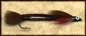 FLATWING BROOK TROUT Image