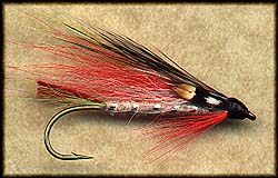 LITTLE BROOK TROUT Image