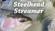 Video thumb for Steelhead Streamer