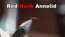 Video thumb for Red Hook Annelid