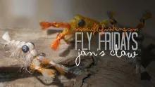 Video thumb for Jan's Claw
