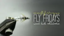 Video thumb for Wood Duck Callibaetis