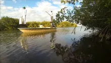 Video thumb for Pursuit of Black Drum