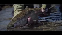 Video thumb for Collon Cura River