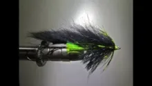 Video thumb for BS Swinger