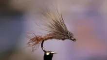 Video thumb for Isonychia Emerger