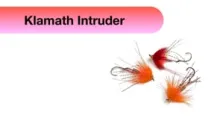 Video thumb for Klamath Intruder