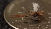 Video thumb for Parachute Adams, Size 22 with a Twist