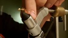 Video thumb for The Shrymph