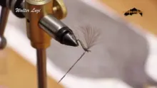 Video thumb for WL Fly