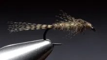 Video thumb for Wood Duck Nymph