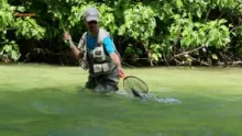 Video thumb for Elk Hair Caddis