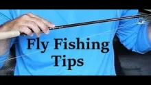 Video thumb for Storing the Fly When Changing Spots