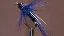 Video thumb for Purple Prince John
