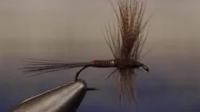 Video thumb for Red Quill