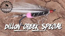 Video thumb for Dillon Creek Special