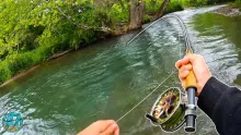 Video thumb for Fly Fishing with Streamers for BIG Brown Trout!