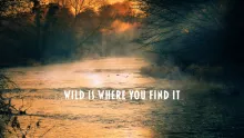 Video thumb for Wild is Where You Find It