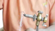 Video thumb for Baby fish for Asp 