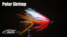 Video thumb for Polar Shrimp