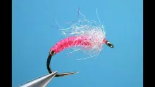 Video thumb for AC Pink Bug