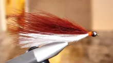 Video thumb for Kurts Creek Minnow