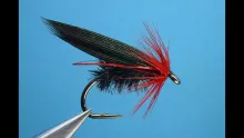 Video thumb for Bog Fly Variant