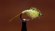 Video thumb for Steelhead Nymph