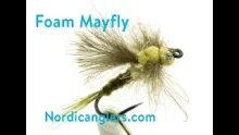 Video thumb for Foam Beatis Rhodani