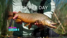 Video thumb for Hopper Day