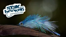 Video thumb for Shimmer Minnow