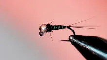 Video thumb for Black Pearl