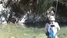 Video thumb for New Zealand Wilderness Stream