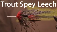 Video thumb for Egg Sucking Leech Tube Fly