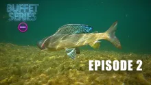 Video thumb for Chasing Grayling - Ep.2 Season 3 Buffet Series