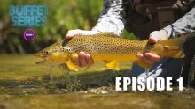 Video thumb for Sight Fishing the Green River