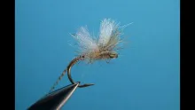 Video thumb for Trout MRE