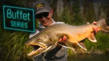 Video thumb for Buffet Series Trailer