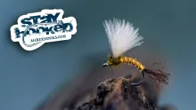 Video thumb for CDC BWO Emerger