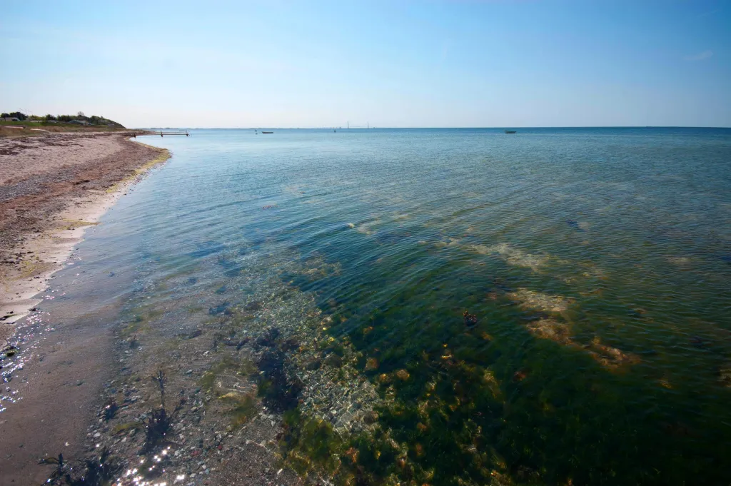Lush and productive - The water is clean, but production is high and fish food can be very abundant although the predators don\'t always appreciate this fact