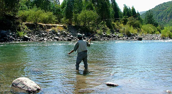 User submitted picture: Casteando en caluroso d...